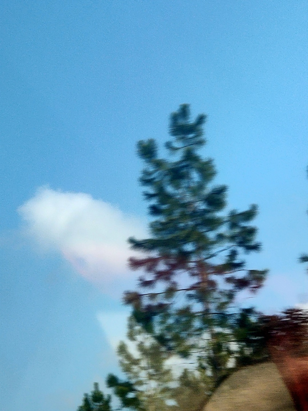 人生很长，但只活在少数瞬间。